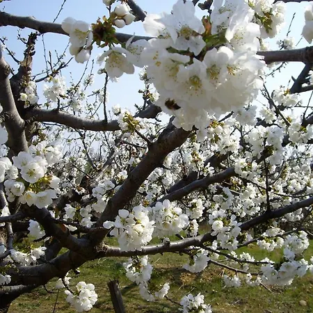 公寓 Du Ruisseau 贝勒加德