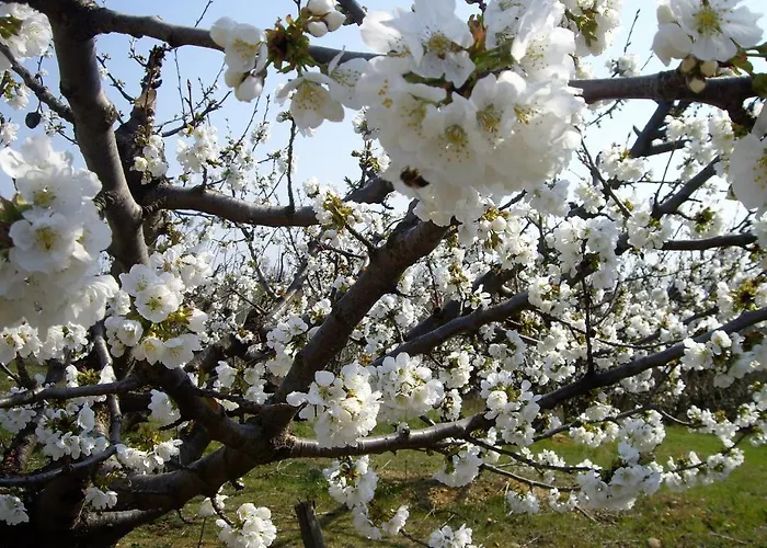 Apartman Du Ruisseau Bellegarde